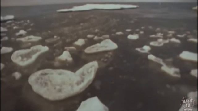 Илья Афанасьев vs Алла Пугачёва -- Кто ты, жопа или айсберг? Правильная версия. 2023 смотреть онлайн