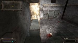 Тайник Профессионала на Затоне. Подвал ВНЗ Круг.