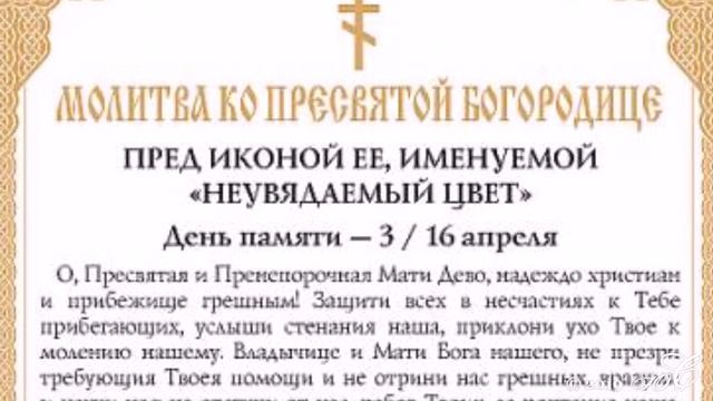 Икона Божией Матери «Неувядаемый Цвет» смотреть онлайн