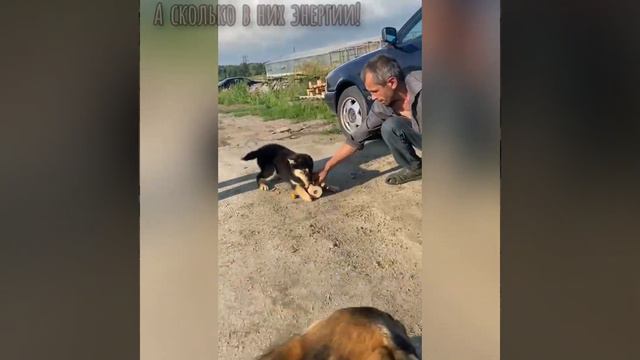 Сделать детство лучше! смотреть онлайн