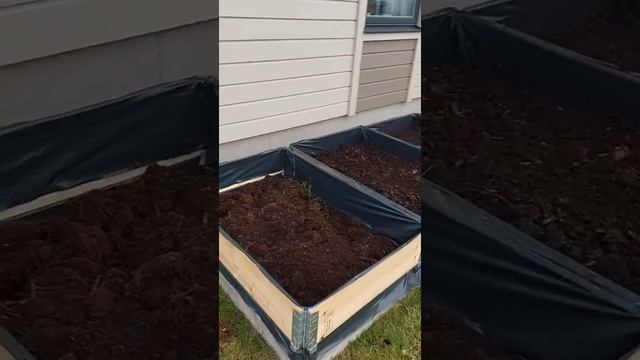 Как в Швеции сажают огород в ящиках