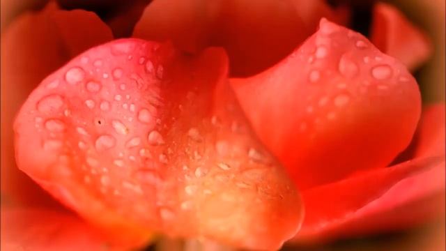 Meditation Music Flute | Sahaja Yoga Music смотреть онлайн