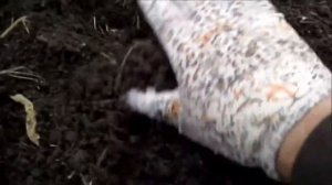 ЭЛЕКТРОГРЯДКА В ПАРНИКЕ