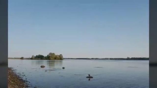 Каменники. Малая родина смотреть онлайн