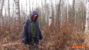 Бобровая плотина - спасаем лес от бобров