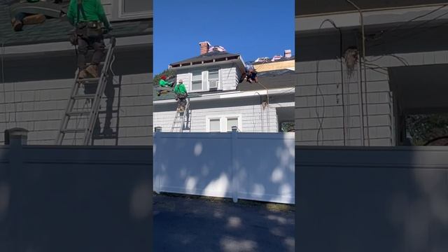 Green shirts install a green roof for our friend Jay!!!! смотреть онлайн