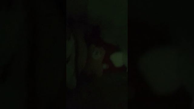 бункер из подручных средств а именно из одеяла подушек игрушек смотреть онлайн