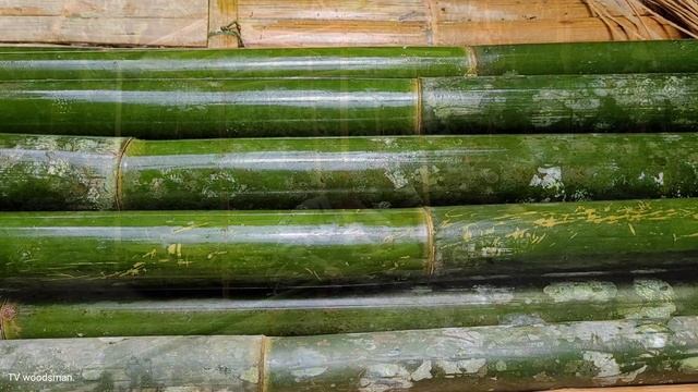 Build a shelter - Pick up haunted artifacts - TV woodsman. смотреть онлайн