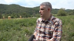 колодно-бортевая пасека "Дикий мед"