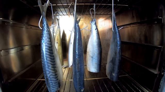 ХОЛОДНОЕ КОПЧЕНИЕ СКУМБРИИ И СЕЛЬДИ. Подробный рецепт смотреть онлайн