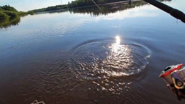 ЩУКА на БУЛЮ смотреть онлайн