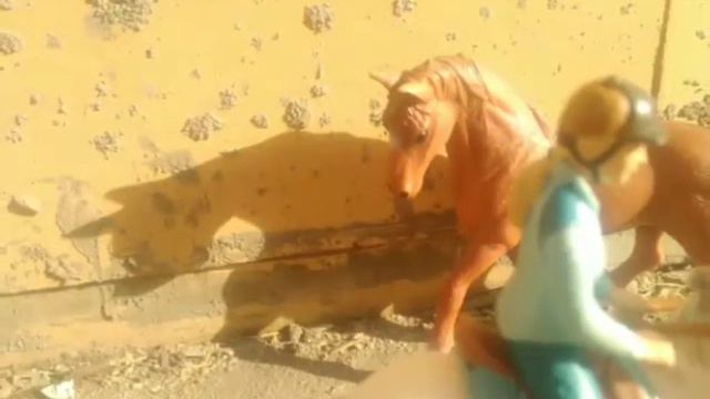 Фотографии за март 😎🐎 + описание смотреть онлайн