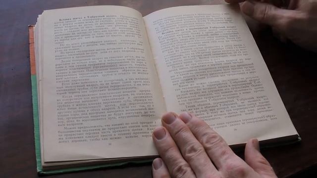 Прививка плодовых растений. Все, что нужно знать о прививках смотреть онлайн