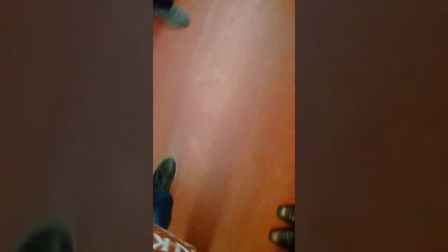 Московское метро цветной поезд станции Речной вокзал Водный стадион смотреть онлайн