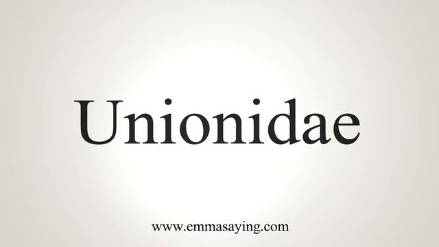 How To Say Unionidae смотреть онлайн