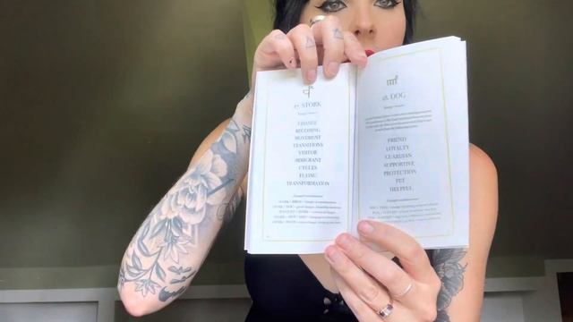 Unboxing: Green Glyphs Lenormand Deck смотреть онлайн