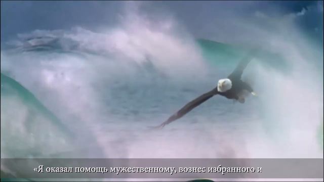 Место из Библии. Наши провозглашения. Псалом 88:16-25 смотреть онлайн