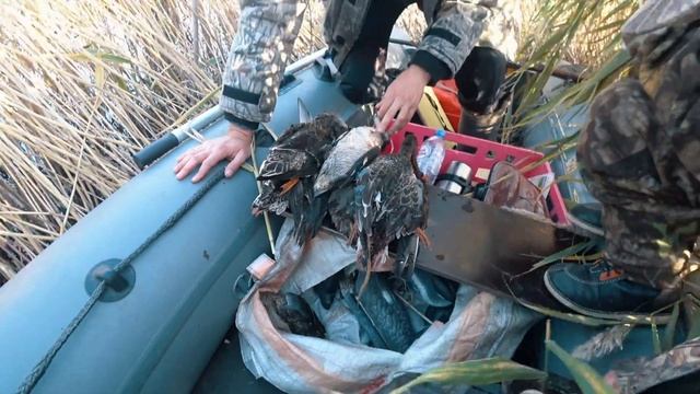 Утиная охота в Курганской области смотреть онлайн