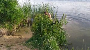 Чистим берег реки от водорослей.