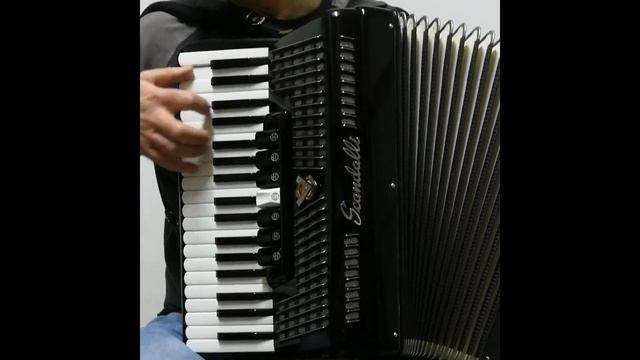 LORITO BRASILEIRO. Acordeón Scandalli Javier Beltrán смотреть онлайн