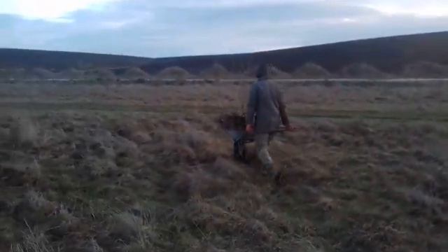 Садимо дерева в лютому смотреть онлайн