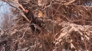 #1/ЛЁХА!! ЧЕ ТЫ ОРЁШЬ ТУТ Я!!! (РУССКИЕ МЕМЫ)