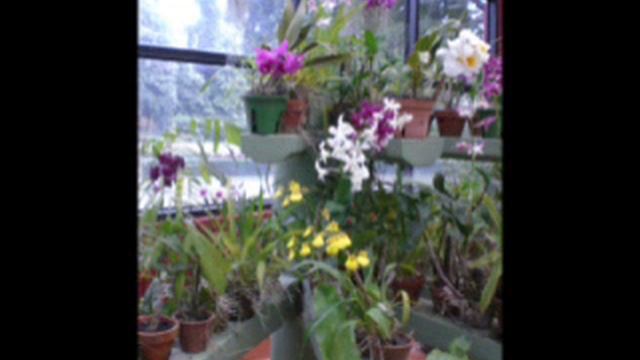 CENTRO S. MUSICAL VICTORIA. Canta: ESTELA CAMPOS. Vals: "NUESTRO SECRETO". смотреть онлайн