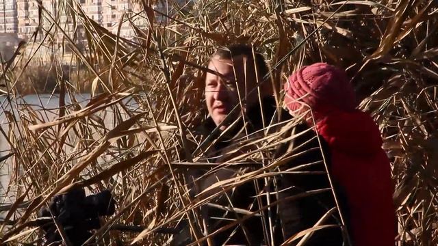 Посёлок Курортный. Где находится и чем знаменит - в проекте «Экскурсионный Краснодар» смотреть онлайн