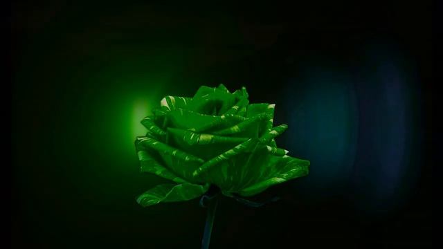 Музыка для медитации смотреть онлайн