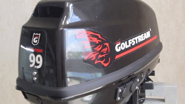 Мотор лодочный USB 2-х тактный GOLFSTREAM Т9.9ВМS смотреть онлайн