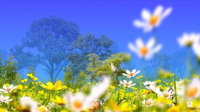 Переписать судьбу. Счастливый путь, самореализация. Визуализация. Позитивные мысли перед сном. смотреть онлайн