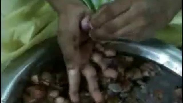 final video XVid MPEG 4 Codec смотреть онлайн