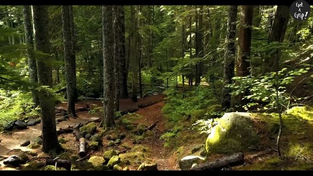 The Best Mendelssohn Meditation Music - Relax, Meditation, Sleep, Reading, Focus