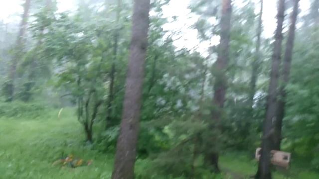 Молния попала в дерево / Lightning strikes a tree смотреть онлайн