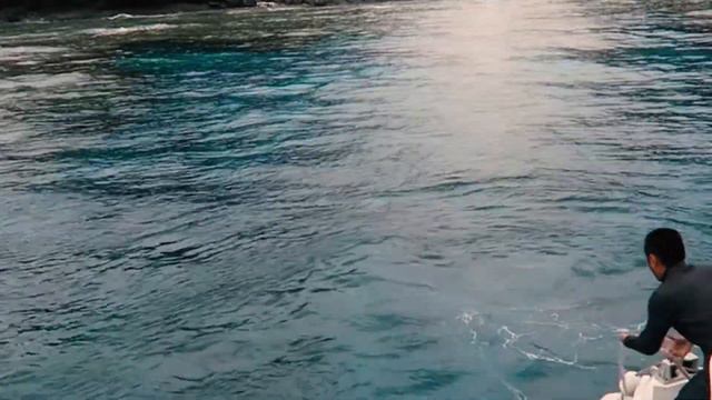 Ryukyu life Okinawa 2017 смотреть онлайн