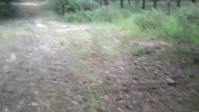 МНЕ ПРИСНИЛАСЬ FloridaYalta флорида ялта