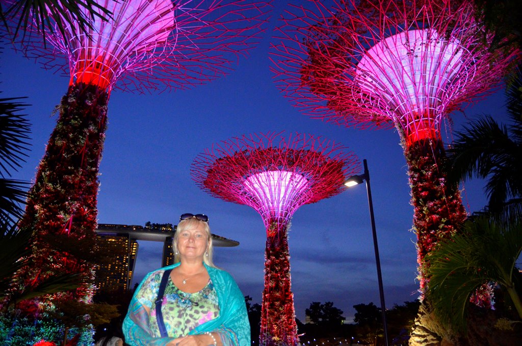 Singapore, цвето-музыкальное шоу деревьев , 5.09.2018