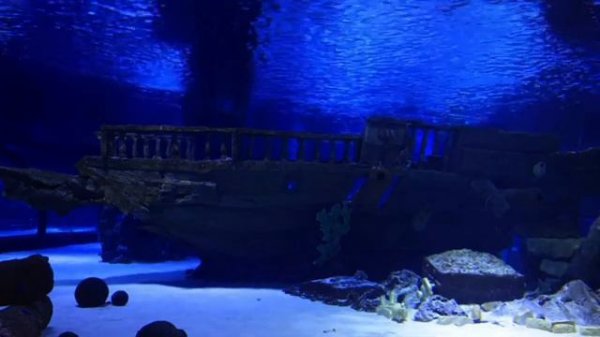 Light and pleasant music for LIFE Soothing music, calms the nervous system and pleases the soul