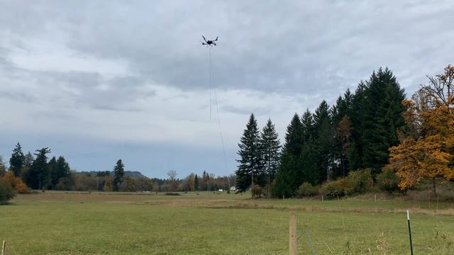 Alta X Logging смотреть онлайн