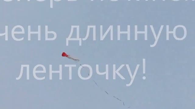 Воздушный змей Осьминог смотреть онлайн