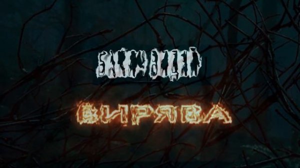 Бакич Видяй - ВИРЯВА