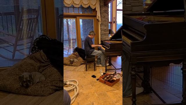 Piano Tuner смотреть онлайн
