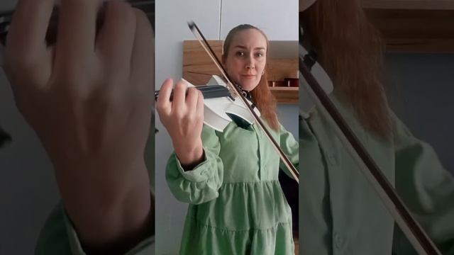 Птичка на скрипке Hammali & Navai - птичка #электроскрипка #скрипачка #скрипка #птичка #кавер #хиты