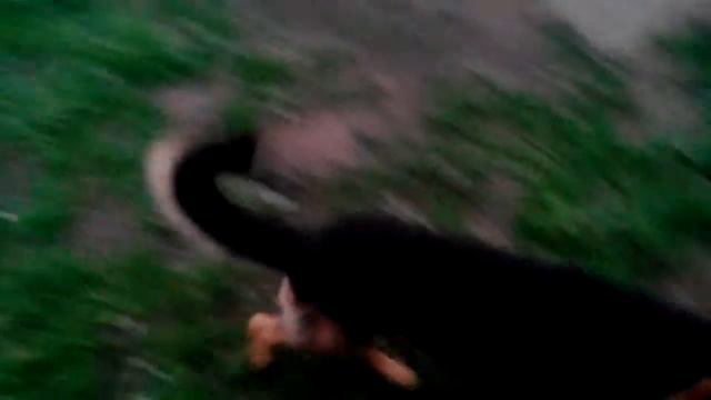 Vlog c Данаем смотреть онлайн