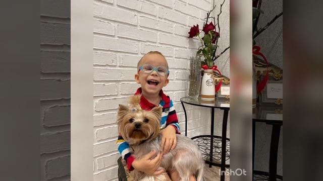 30 ноября всемирный день домашних животных смотреть онлайн