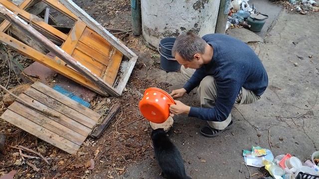 Vlog 28 11 2021 Муж убирает во дворе/пицца/борщ/тыквенный пирог смотреть онлайн