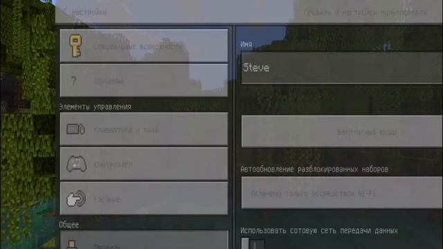 Как поставить скин в майнкрафт без интернета смотреть онлайн
