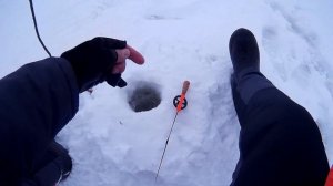 ЭТА безмотылка, ЛОВИТ ВЕЗДЕ! Рыбалка на густеру и плотву в ФЕВРАЛЕ 2022