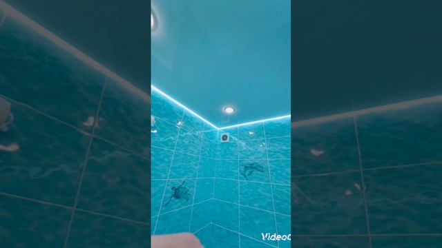 Натяжные потолки любой сложности.г.Барнаул .Замер бесплатно т.698707 , 89619991979 смотреть онлайн