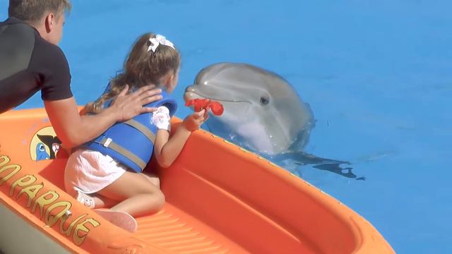 Тенерифе. Лоро парк. "Шоу дельфинов" смотреть онлайн